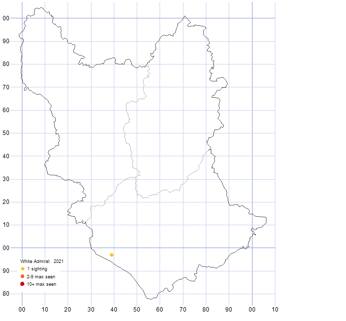White Admiral distribution map 2021