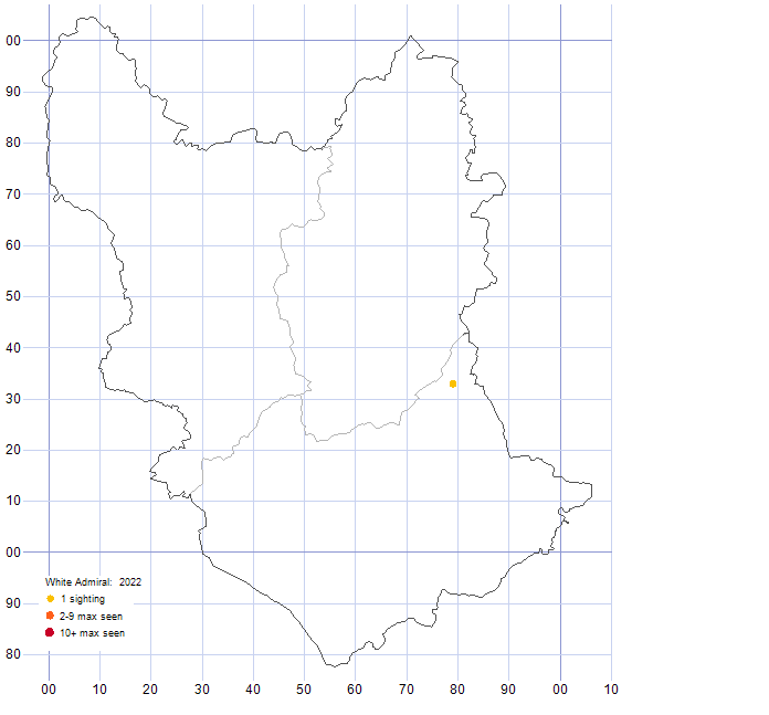 White Admiral distribution map 2022