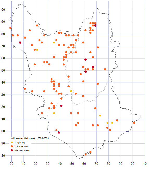 White-letter Hairstreak distribution map 2005-09