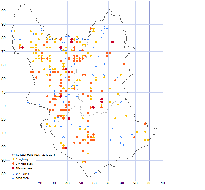 White-letter Hairstreak distribution map 2005-19