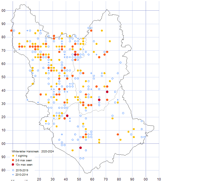 White-letter Hairstreak distribution map 2010-24