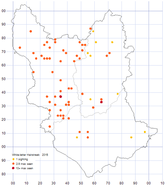 White-letter Hairstreak distribution map 2015