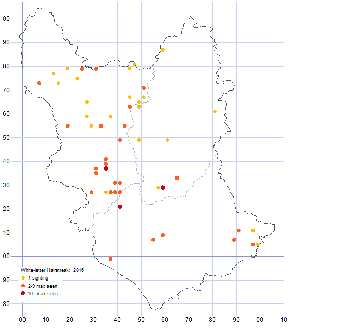 White-letter Hairstreak distribution map 2016