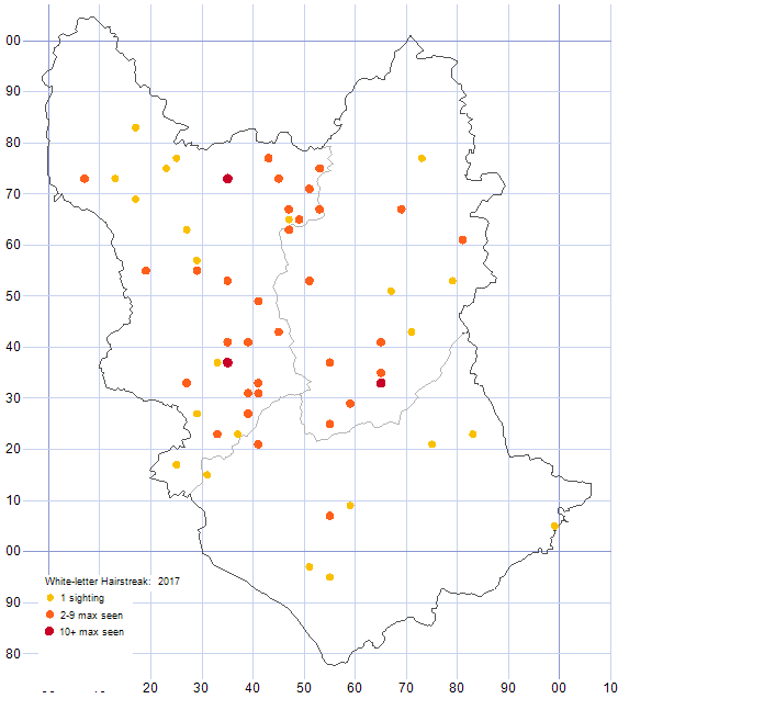 White-letter Hairstreak distribution map 2017