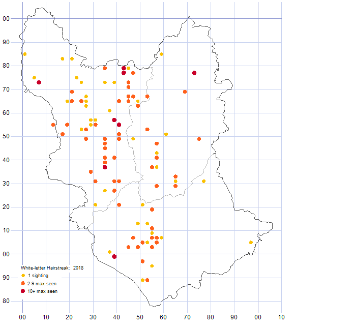 White-letter Hairstreak distribution map 2018