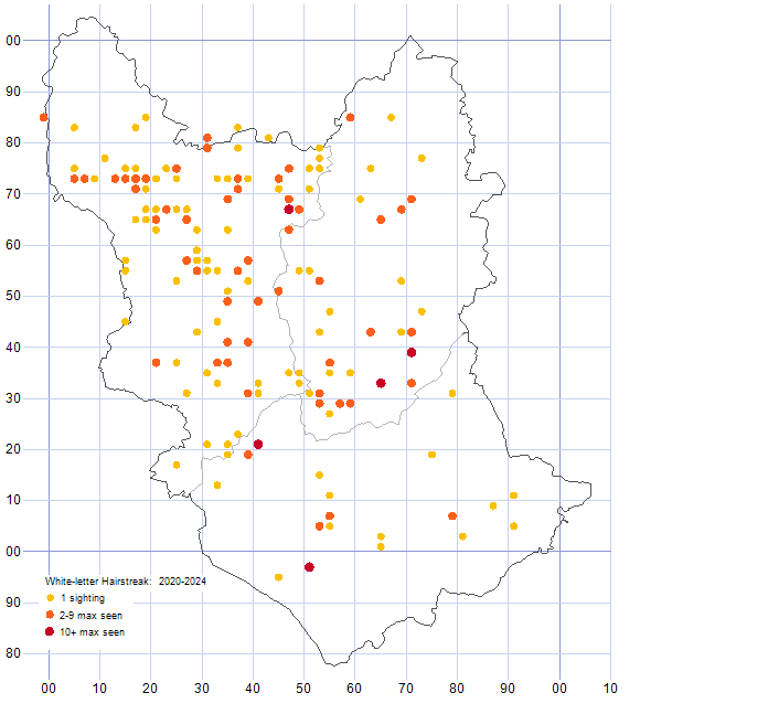 White-letter Hairstreak distribution map 2020-24