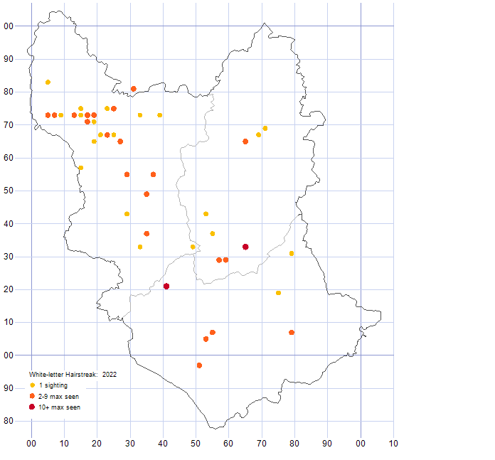 White-letter Hairstreak distribution map 2022