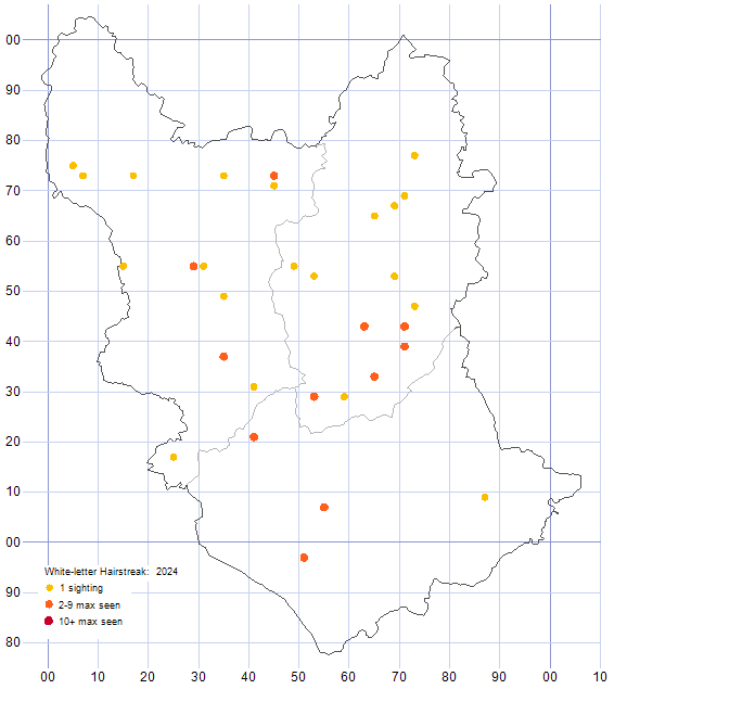 White-letter Hairstreak distribution map 2024